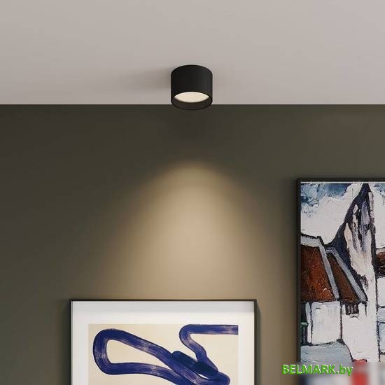 Точечный светильник Elektrostandard Banti 13W 25123 LED (черный) - фото2