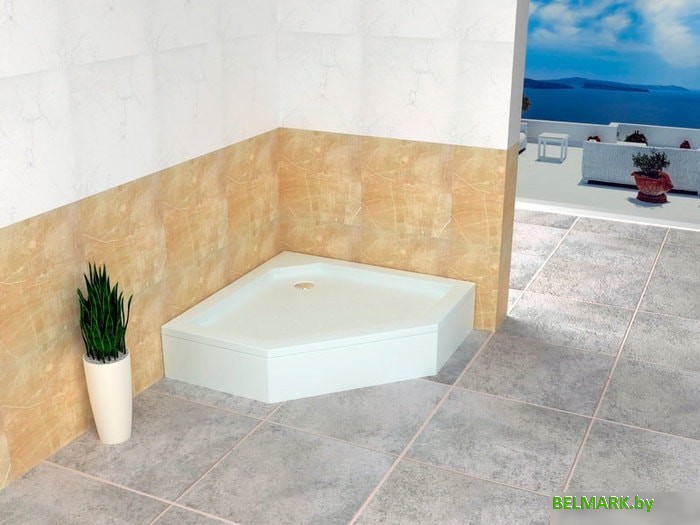 Душевой поддон RGW Style-TR 100x100 - фото