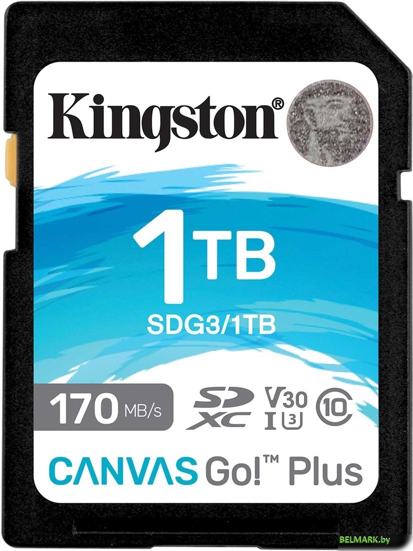 Карта памяти Kingston Canvas Go! Plus SDXC 1TB - фото