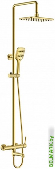 Душевая система Vieir V103562-S - фото