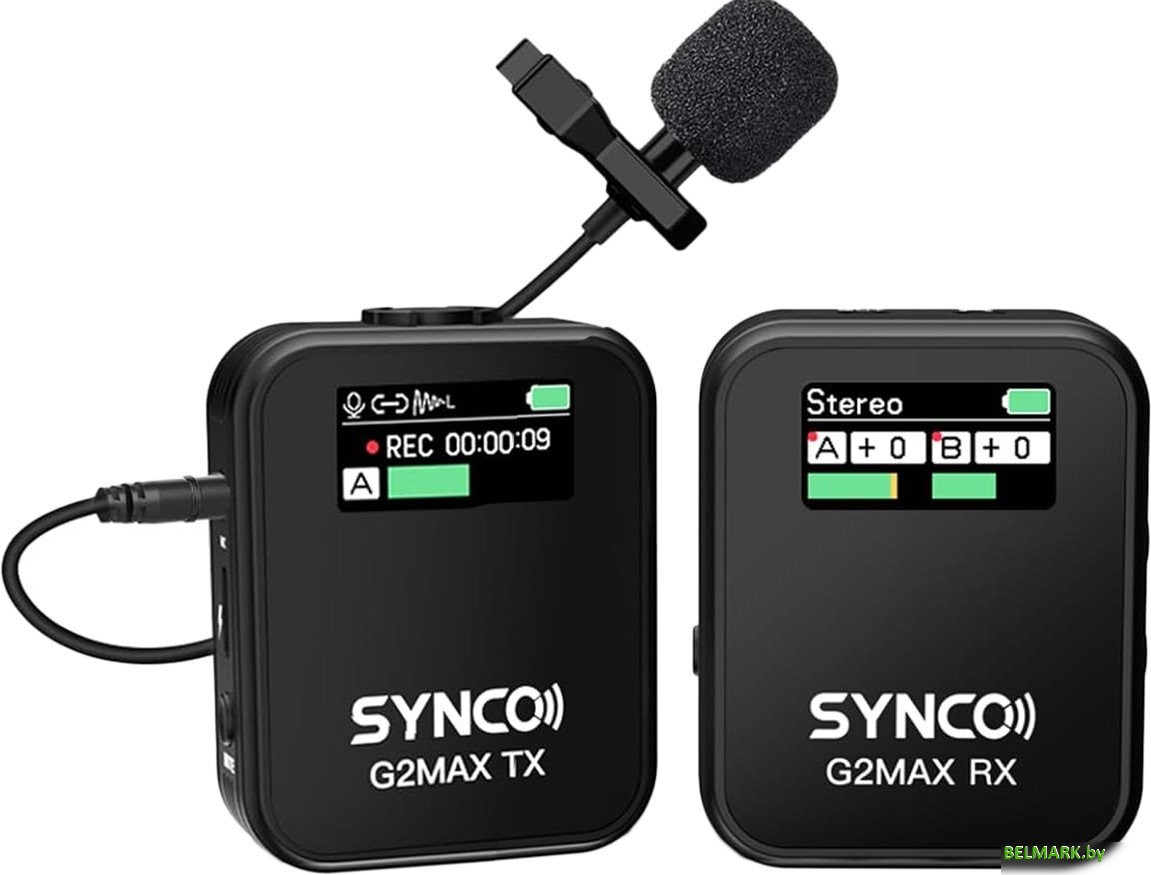 Радиосистема Synco G2(A1) Max - фото