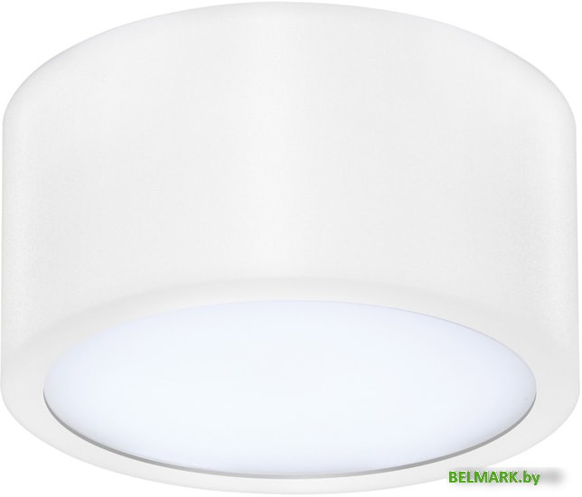 Точечный светильник Lightstar Zolla 213916 - фото