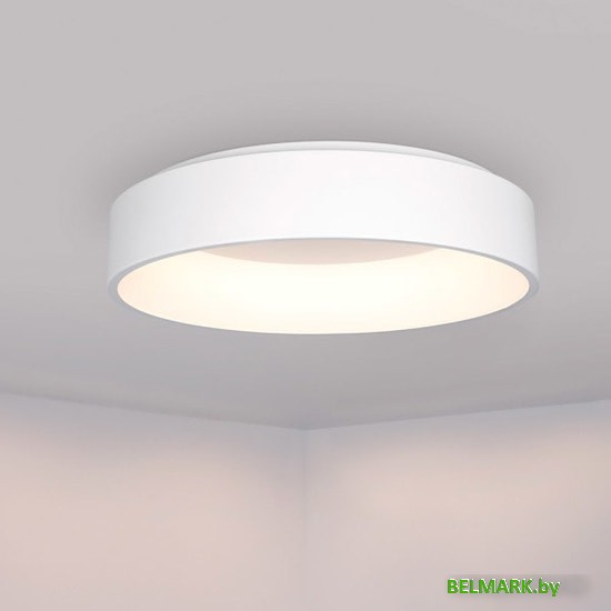 Светодиодная панель Arlight SP-TOR-RING-SURFACE-R460-33W Day4000 022134(1) - фото2