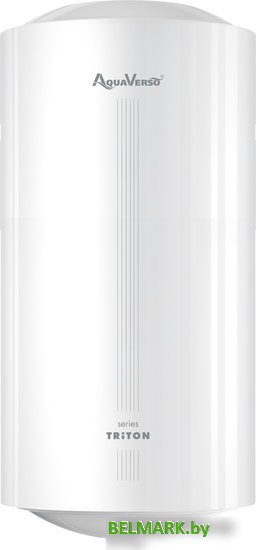 Накопительный электрический водонагреватель AquaVerso Triton 100 V - фото