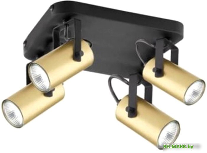 Припотолочная люстра TK Lighting TKC2821 - фото