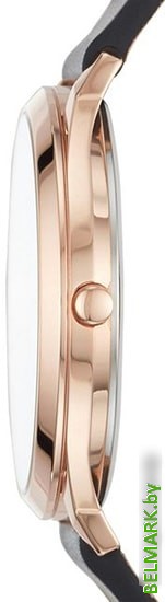 Наручные часы Skagen SKW1102 - фото2