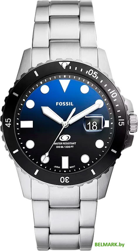 Наручные часы Fossil FS6038 - фото