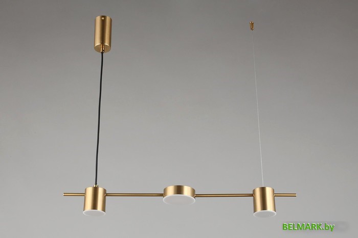 Люстра средней высоты Aployt Frania APL.017.13.18 - фото2