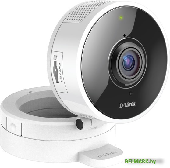 IP-камера D-Link DCS-8100LH/A1A - фото