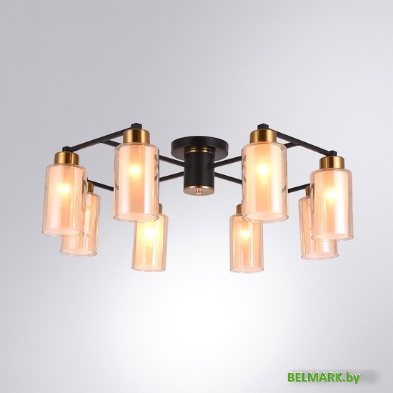 Люстра средней высоты Arte Lamp Leo A7027PL-8BK - фото2