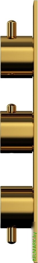 Смеситель Whitecross Y Y1238GL (золото) - фото2