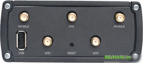 Беспроводной маршрутизатор Teltonika RUT955 - фото