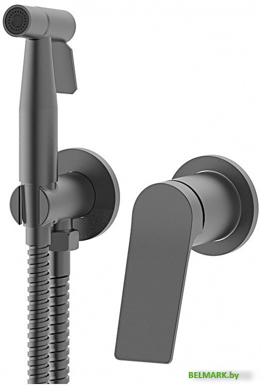 Гигиенический душ Vieir V343553-G - фото