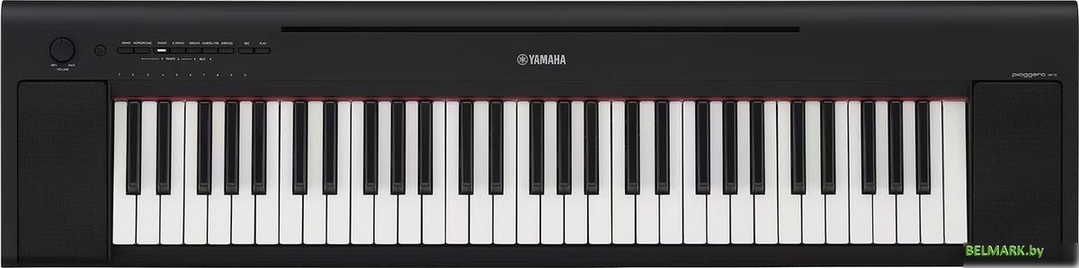 Синтезатор Yamaha NP-15 (черный) - фото
