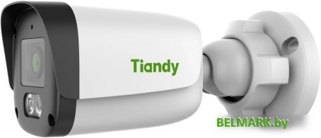 IP-камера Tiandy TC-C34QN I3/E/Y/4mm/V5.0 - фото