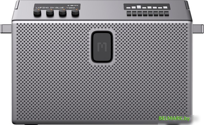 Беспроводная колонка Defunc Mondo BT Speaker Large (серебристый) - фото2