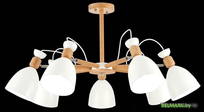 Люстра средней высоты Evoluce Balcamo SLE103802-07 - фото2