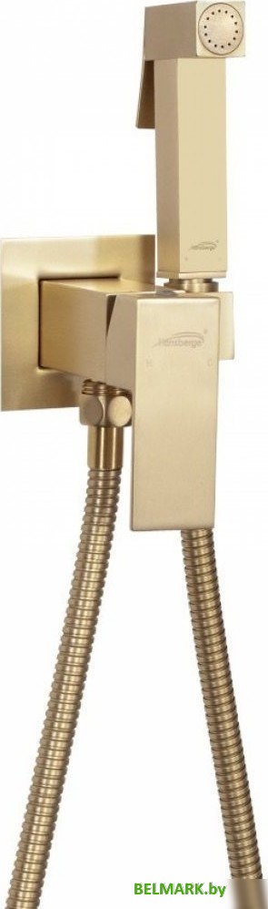 Гигиенический душ Hansberge H3077 (золото матовый) - фото