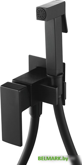 Гигиенический душ Shevanik S127H - фото