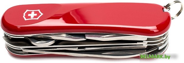 Туристический нож Victorinox Evolution 23 - фото
