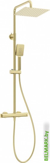 Душевая система Deante NAC R4HT - фото