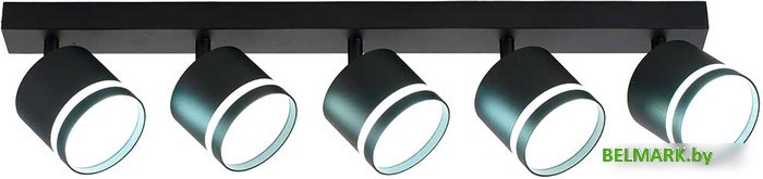 Спот TruEnergy 21024 - фото