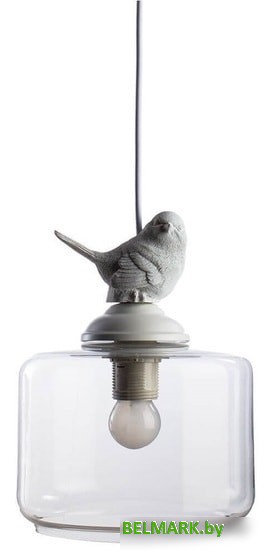 Подвесная люстра Arte Lamp Passero A8029SP-1WH - фото