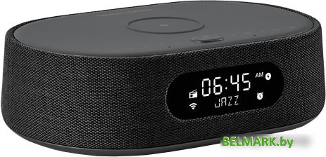 Умная колонка Harman/Kardon Citation Oasis (черный) - фото