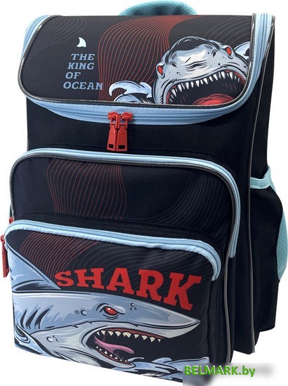 Школьный рюкзак ArtSpace Happy School Shark Uni_17727 - фото