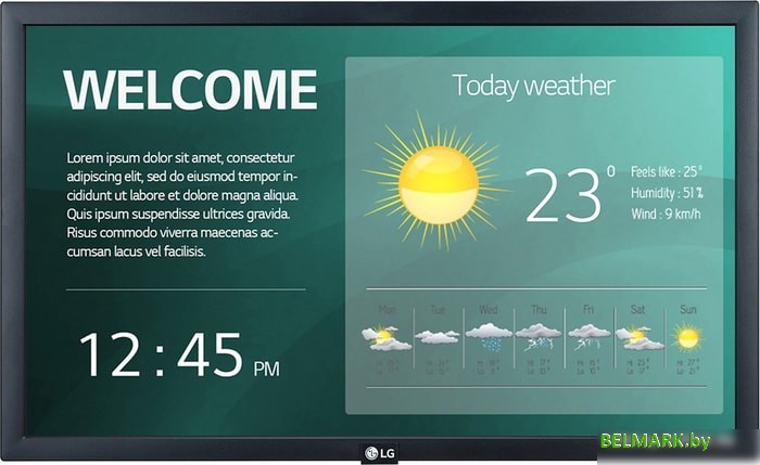 Информационная панель LG 22SM3G-B - фото