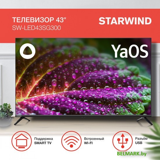 Телевизор StarWind SW-LED43SG300 - фото2