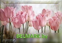 Картина Декарт Розовые тюльпаны 8Л0474 (в раме) - фото