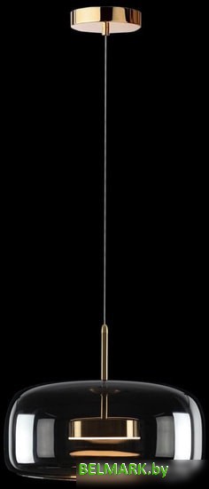 Подвесная люстра LOFT IT Dauphin 10041B - фото2