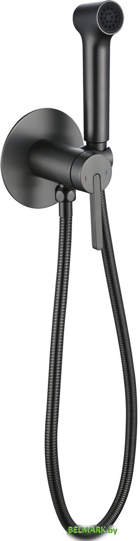 Гигиенический душ Rose R235T - фото