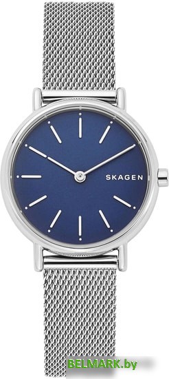 Наручные часы Skagen Signatur SKW2759 - фото