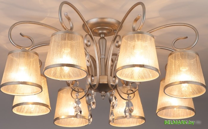 Люстра Евросвет Liona 60065/8 (серебристый) - фото2