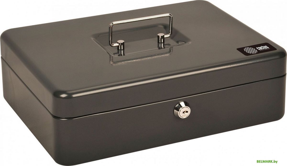 Кэшбокс CACTUS CS-CB-004GY - фото2