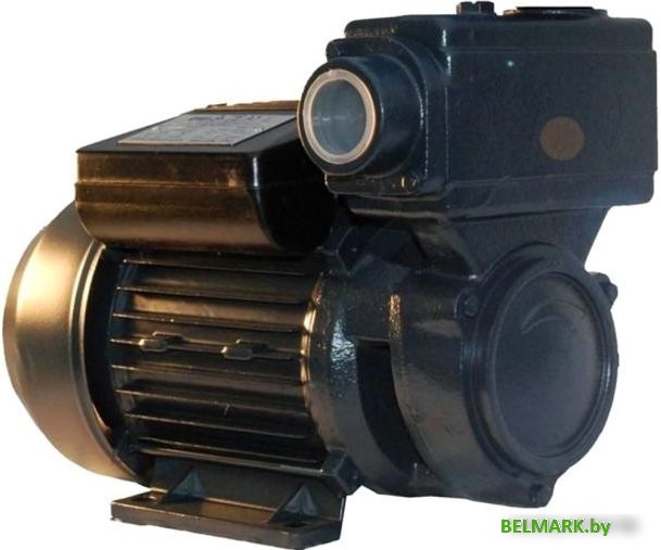 Самовсасывающий насос IBO WZI 750 - фото