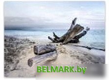 Картина Orlix Берег CA-11969 85x113 см - фото