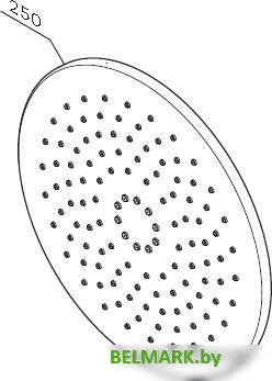 Верхний душ AM.PM F0580000 - фото2