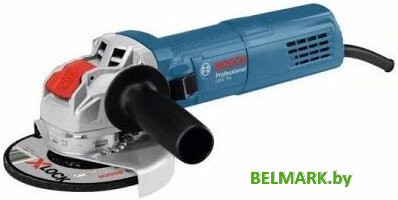 Bosch GWX 750-125 Professional 06017C9100 - фото