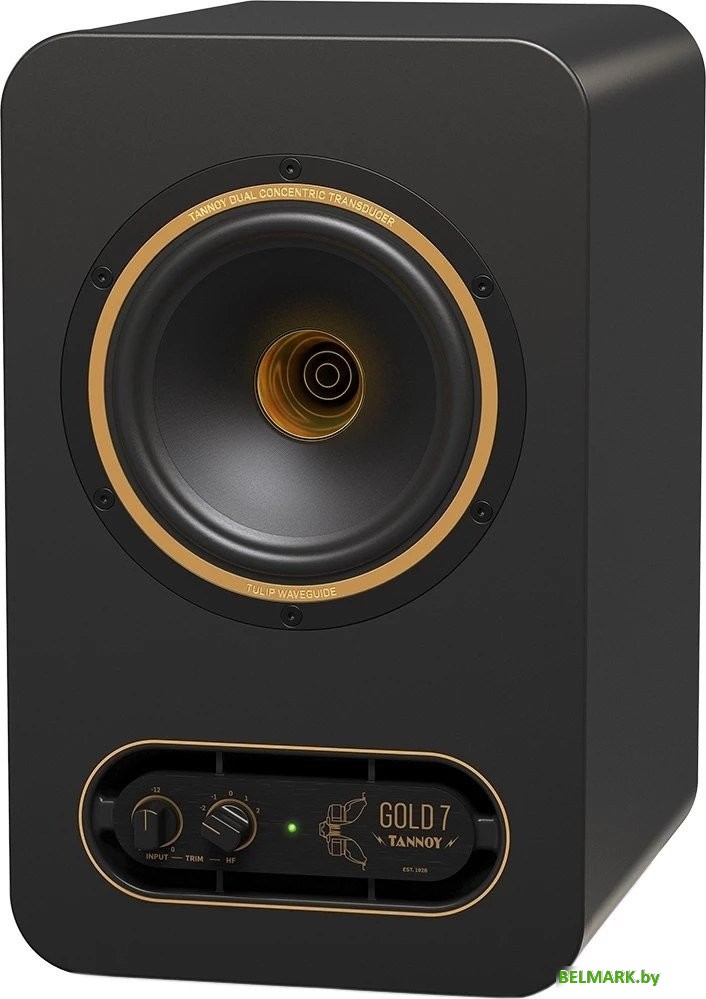 Монитор ближнего поля Tannoy Gold 7 - фото2