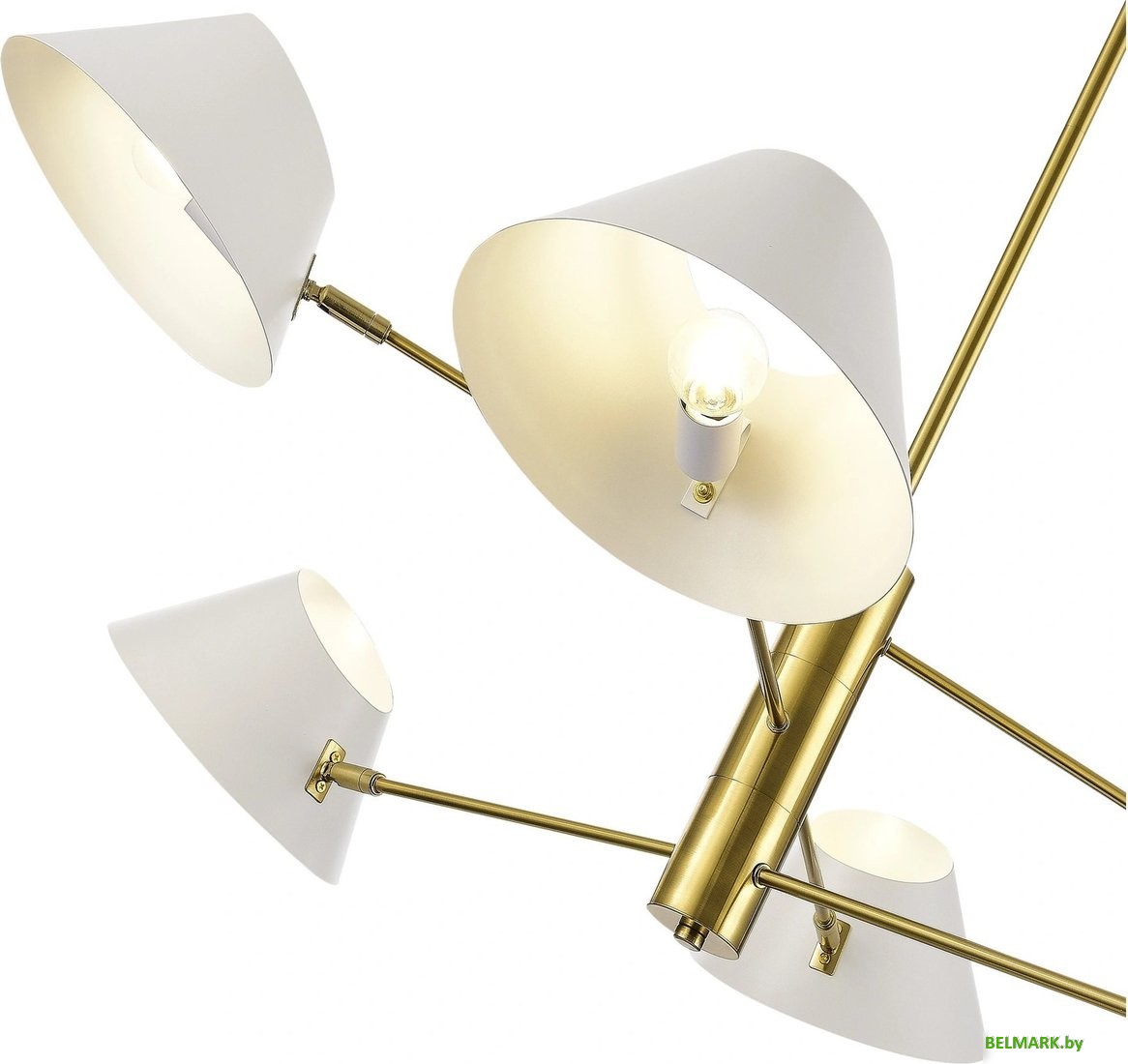 Подвесная люстра Evoluce SLE1253-353-06 - фото2