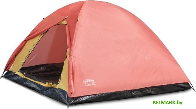 Кемпинговая палатка Atemi Canyon 4S - фото