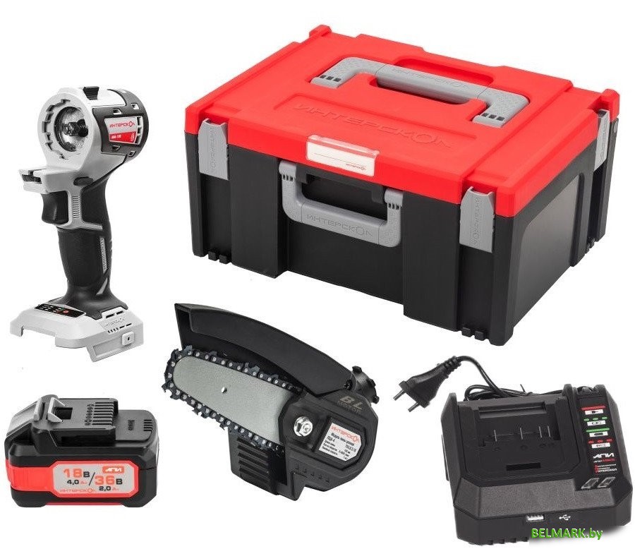 Модуль Интерскол МультиМАКС Базовый Садовник 755.4.3.41 (с 1-им АКБ) - фото