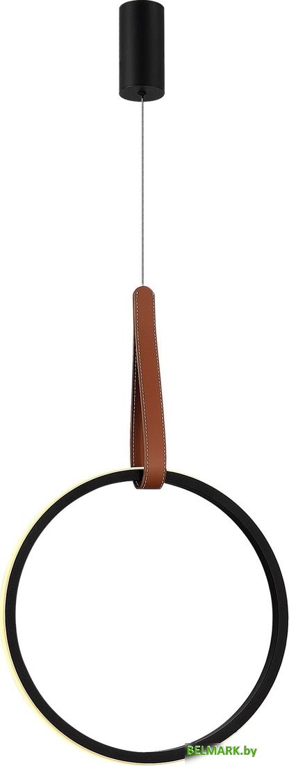 Припотолочная люстра ST Luce SL6131.403.20 - фото