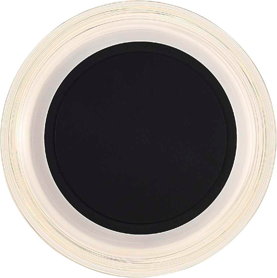 Подвесная люстра ST Luce SL6239.401.03 - фото