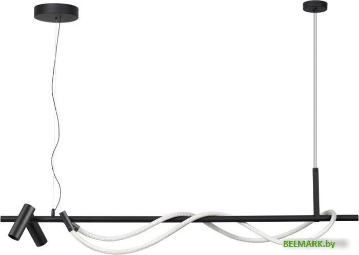 Подвесная люстра Odeon Light Corda 4391/30L - фото