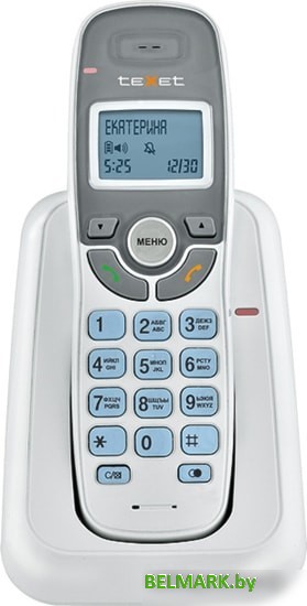 Радиотелефон TeXet TX-D6905A (белый) - фото