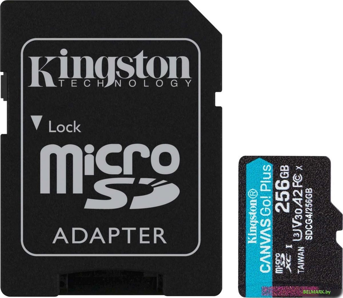 Карта памяти Kingston Canvas Go! microSDXC 256GB SDCG4/256GB (с адаптером) - фото